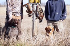 DSC06464.JPG DSC06464.JPG