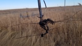 20221105_151336 (1).jpg