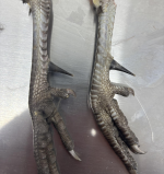 1764681424818.png 1764681424818.png