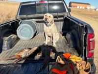 IMG_3256.jpg IMG_3256.jpg