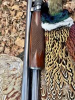 IMG_1829.jpeg IMG_1829.jpeg