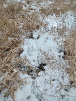 IMG_20251201_093000180_HDR.jpg IMG_20251201_093000180_HDR.jpg