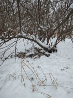 IMG_20251203_082131962.jpg IMG_20251203_082131962.jpg