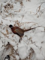 IMG_20251201_143015601.jpg IMG_20251201_143015601.jpg