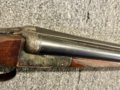 IMG_8594.jpeg IMG_8594.jpeg