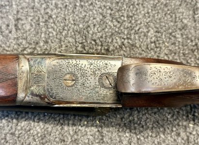 IMG_8584.jpeg IMG_8584.jpeg