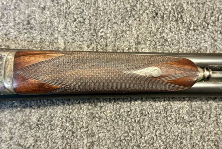 IMG_8588.jpeg IMG_8588.jpeg