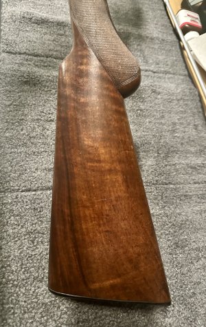 IMG_8596.jpeg IMG_8596.jpeg