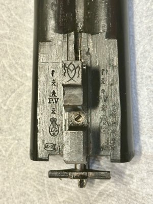 IMG_8508.jpeg IMG_8508.jpeg