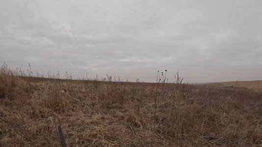 Vera Rooster Pt2.jpg Vera Rooster Pt2.jpg