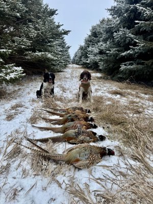 IMG_3760.jpeg IMG_3760.jpeg