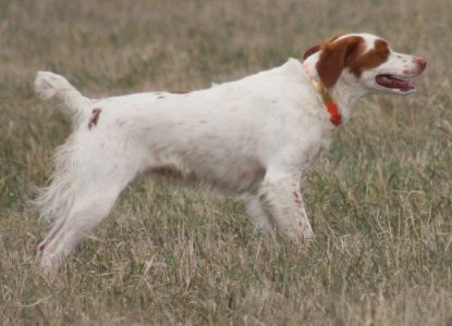 May 2022 - 2.jpg May 2022 - 2.jpg