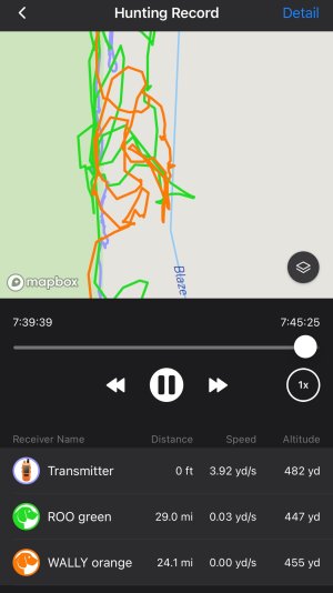 IMG_5527.jpeg IMG_5527.jpeg