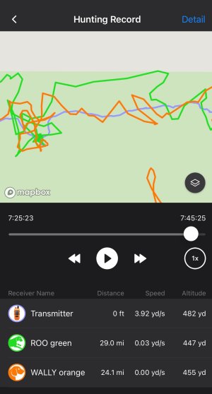 IMG_5528.jpeg IMG_5528.jpeg