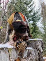 Alma with grouse.jpg