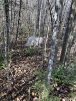 Elcho Weekend IMG_1627.jpg