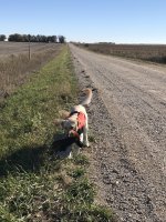 Kepa Iowa opener 2021.jpg