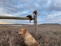 Post Hunt Pic 3 Dad Birthday.jpg