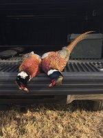 11-26-21 roosters.jpg