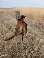 20211205_100035 (1).jpg