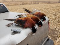 20211218_094604.jpg 20211218_094604.jpg