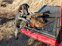 20220102_152012 (1).jpg