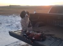 20220102_173656.jpg 20220102_173656.jpg