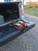 11-19-21 roosters.jpg