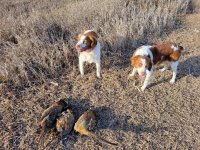 1-29-22 Reece and Rocky.jpg