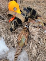 Chief Upland 1-26-22.jpg