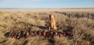 South Dakota 2021.jpg