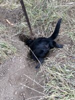 Hunt, 2021-12-4 (4).JPG