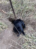 Hunt, 2021-12-4 (6).JPG