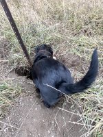 Hunt, 2021-12-4 (7).JPG