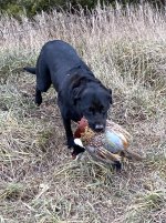 Hunt, 2021-12-4 (9).JPG