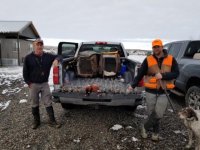 Afternoon in Oregon 2021.jpg