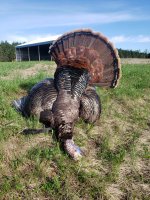 2022 turkey.jpg 2022 turkey.jpg