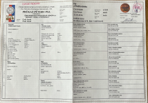 IZY z Podhoranku.png