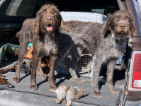 Screen Shot 2022-05-22 at 5.21.33 PM.png