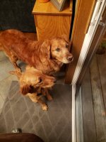 20220527_212656.jpg 20220527_212656.jpg