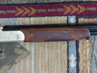 thumbnail_IMG_20220621_121047982_MP.jpg thumbnail_IMG_20220621_121047982_MP.jpg