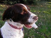 1658024662090.png 1658024662090.png