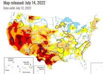 Screenshot 2022-07-19 110825.jpg