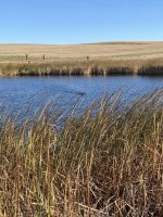 Hunt, 2020-10-18 (1).JPG