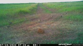 072422 - F2 - 8 ph.jpg