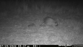 072522 - F4 - Pocupine.jpg