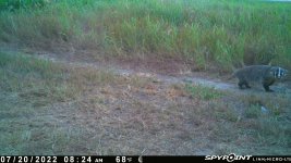 072022 - F30 - Badger.jpg