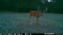 071422 - F4 - 10 pt buck.jpg