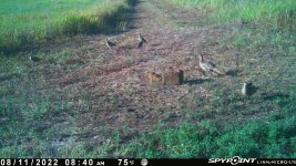 081122 - F2 - 8 ph.jpg