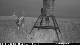 092122 - F3 - 10 pt buck.jpg